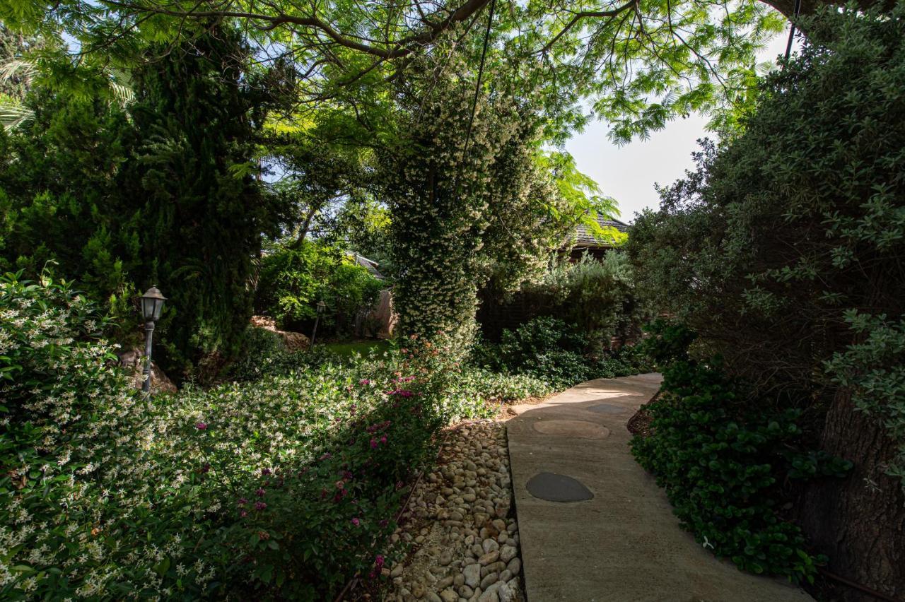 Rosh Pinat Noy Villa Buitenkant foto